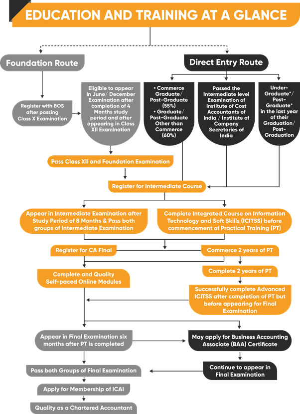 ALLEN ACE Roadmap for CA Exam